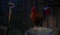 dr dolittle 3-avi_841.jpg